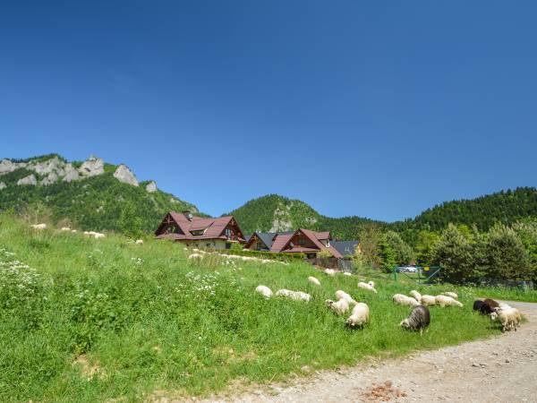 Pokoje Gościnne U Sobka