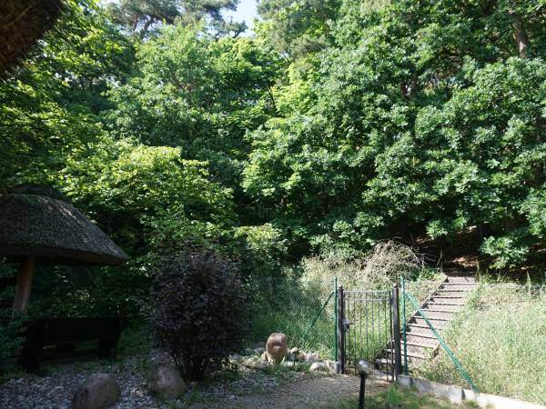 Ogród- Furtka na plażę