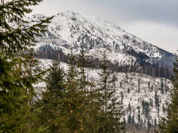 TWOJA CHATA Apartamenty