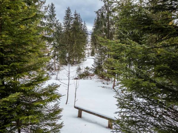 TWOJA CHATA Apartamenty