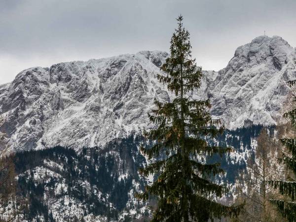 TWOJA CHATA Apartamenty