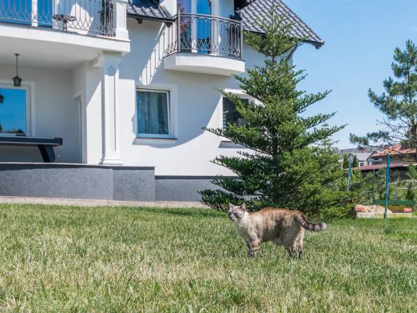 Pokoje Gościnne Jantarus