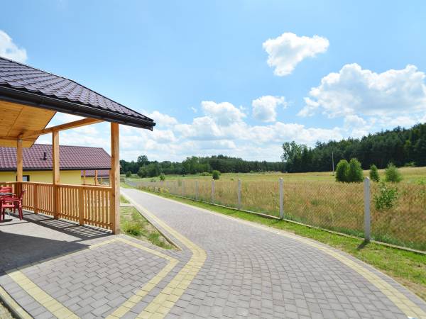 widok na łąkę i las