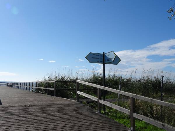 Pomost nad jeziorem Jamno