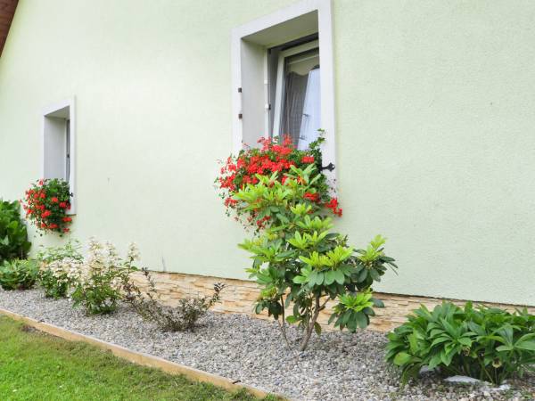 Agroturystyka Maciejówka