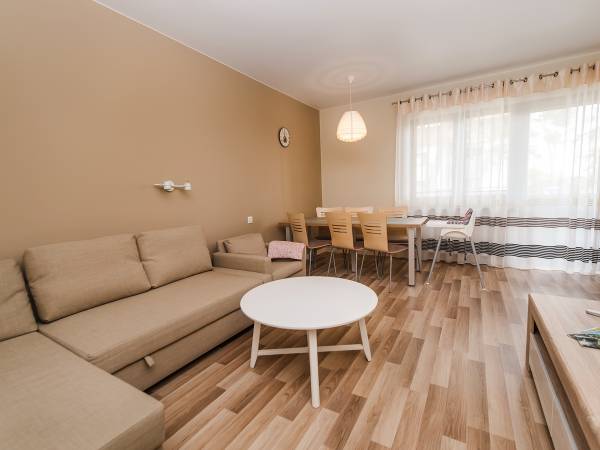 Salon połączony z jadalnią