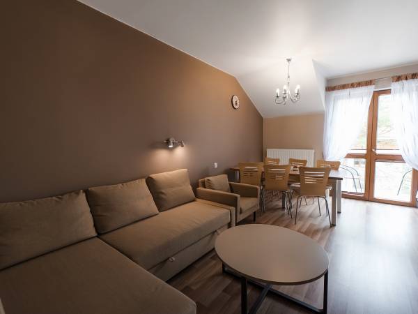 Salon w Apartamencie typu C