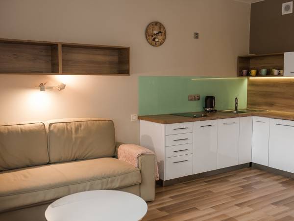 Salon połączony z aneksem kuchennym