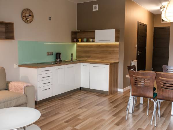 Aneks kuchenny w apartamencie typu A