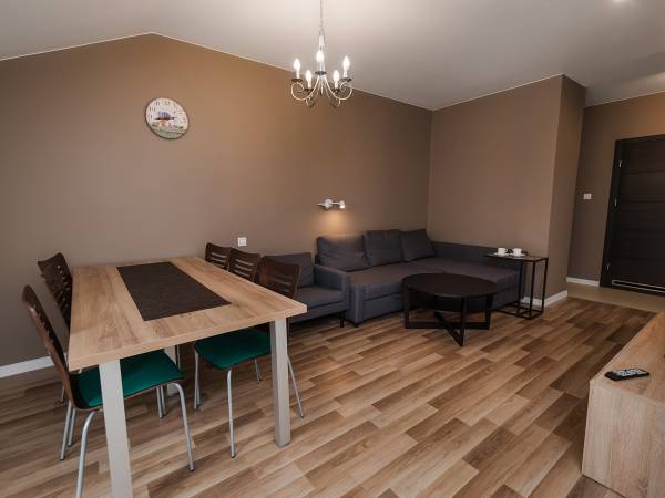 Salon w apartamencie typu C