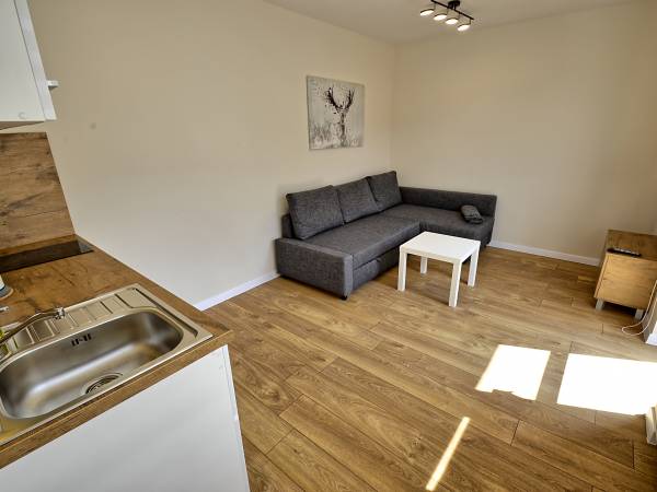 Apartamenty Skalite Wellness