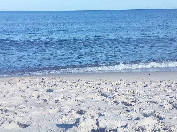 Pokoje Gościnne Zaciszny  - okolica