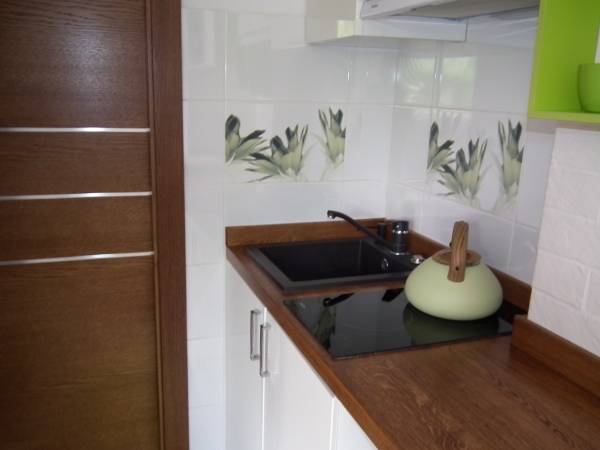 Apartament jednopokojowy Green z balkonem