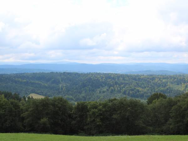 Całoroczne domki apartamentowe Pod Lipą 