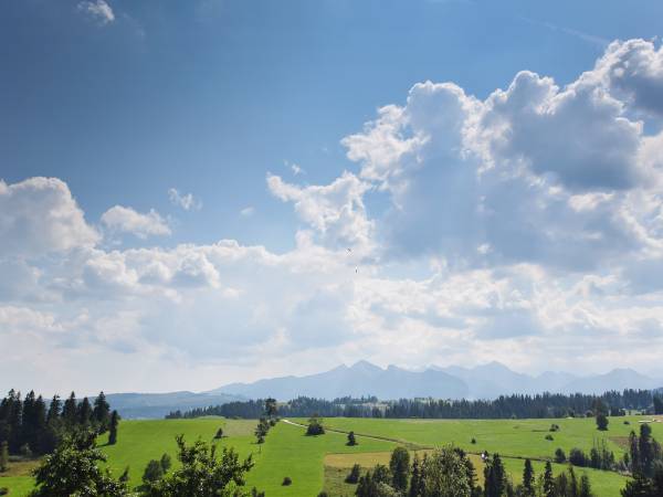 Dom Wypoczynkowy Pod Smyrekami