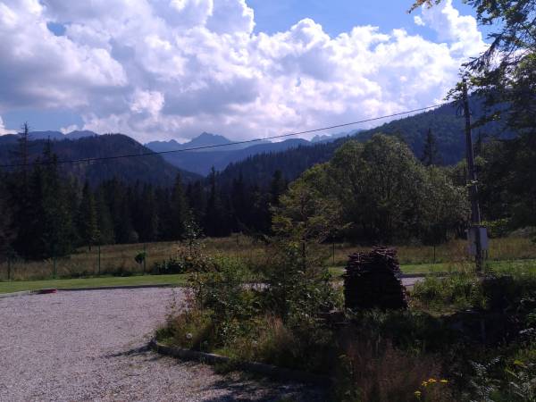 Domek Jaszczurówka Bory