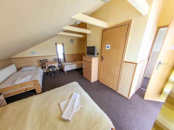 Pokój "Pensjonat U JANINY"