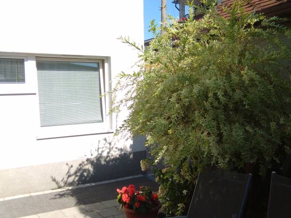 Ap. nr 5 widok zewnętrzny