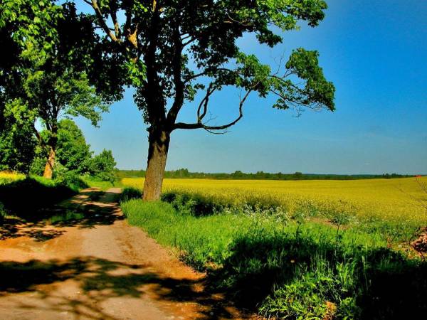 Ośrodek Wypoczynkowy Słoneczne Wzgórze