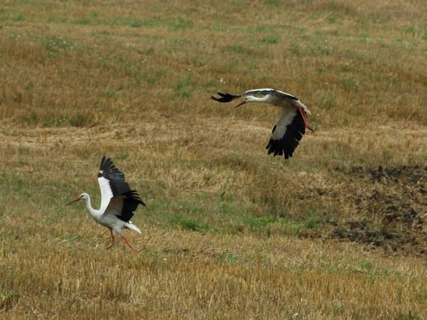 Ośrodek Wypoczynkowy Słoneczne Wzgórze