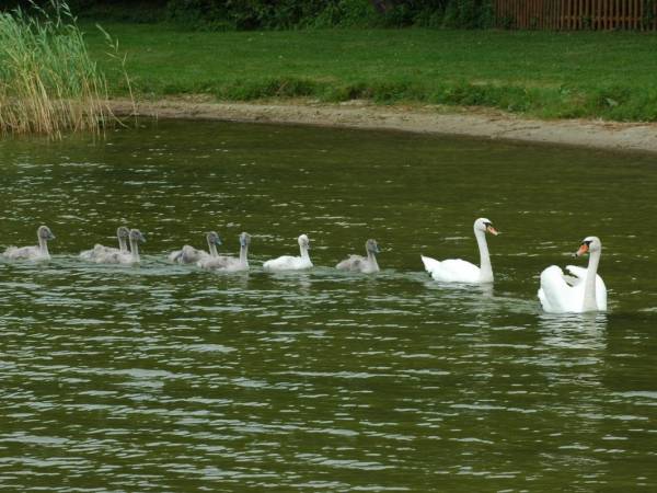 Ośrodek Wypoczynkowy Słoneczne Wzgórze