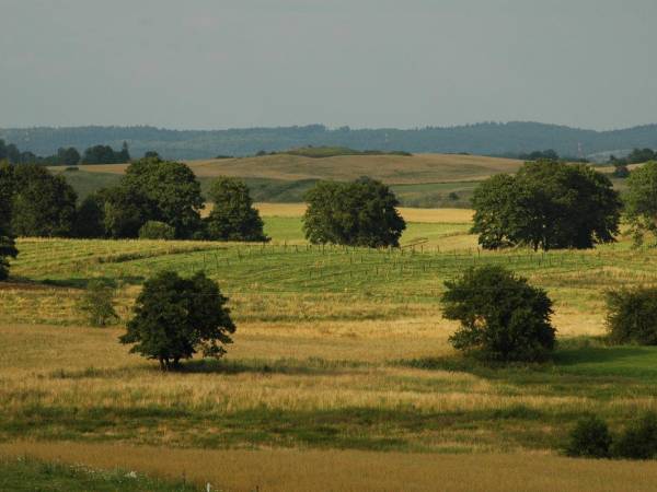 Ośrodek Wypoczynkowy Słoneczne Wzgórze