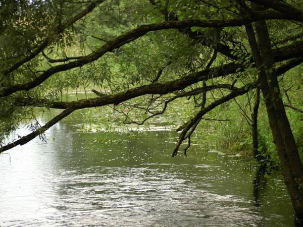 Ośrodek Wypoczynkowy Słoneczne Wzgórze