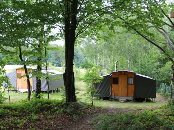 glamping 4-os. (luksusowy namiot) z sauną i kominkiem)