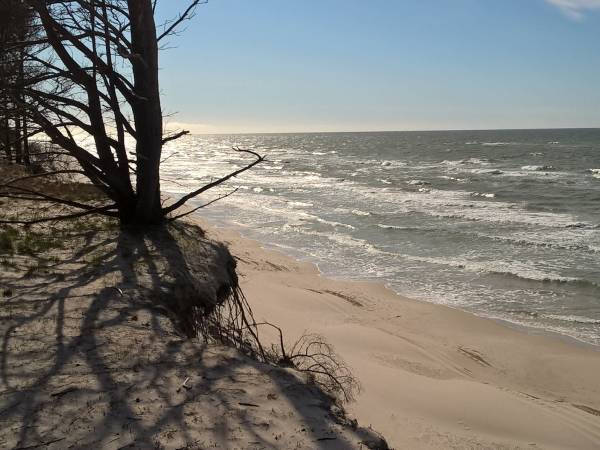 Agroturystyka Muriasówka