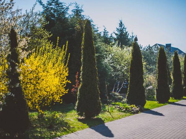 Kompleks Wypoczynkowy Sedna Domki