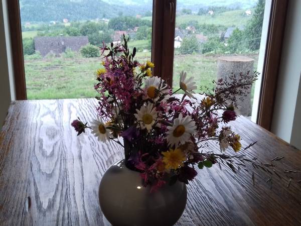 Widok z panoramicznego okna