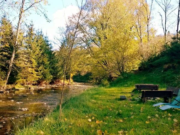 łąka nad potokiem Dwernik