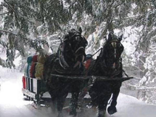 Pensjonat Leśniczówka i Apartamenty Gajówka