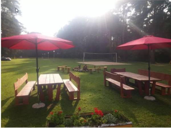 Pole Namiotowe Leśna Polana