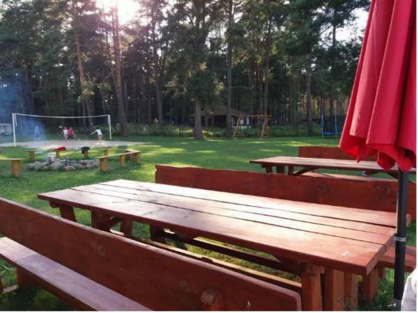 Pole Namiotowe Leśna Polana