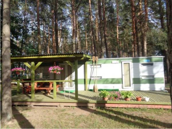 Pole Namiotowe Leśna Polana