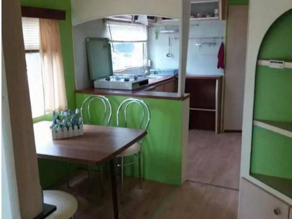 Pole Namiotowe Leśna Polana