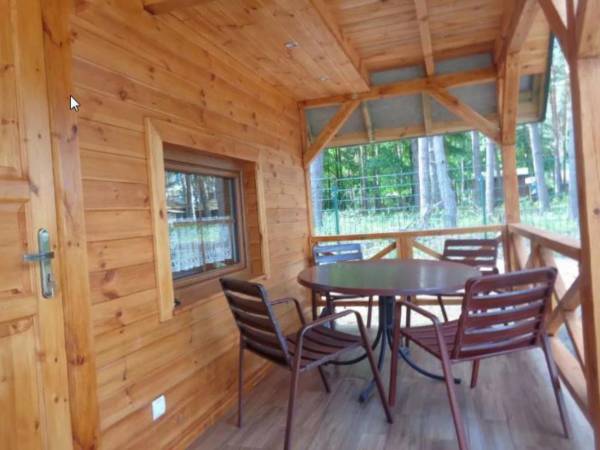 Pole Namiotowe Leśna Polana