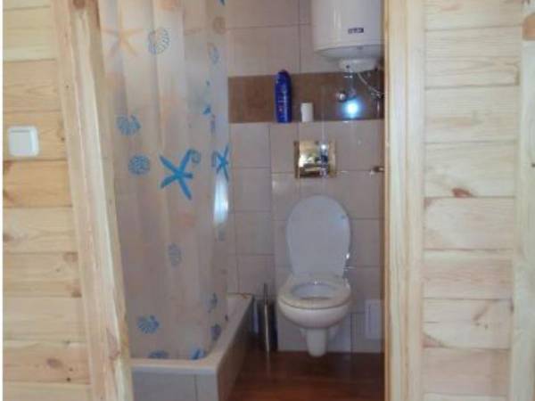 Pole Namiotowe Leśna Polana