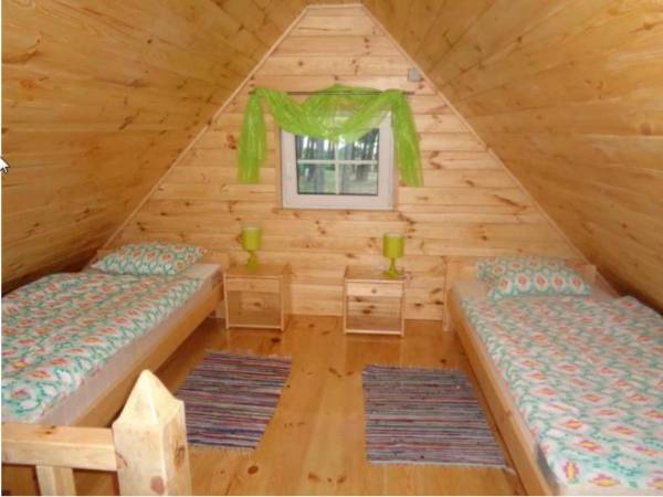 Pole Namiotowe Leśna Polana