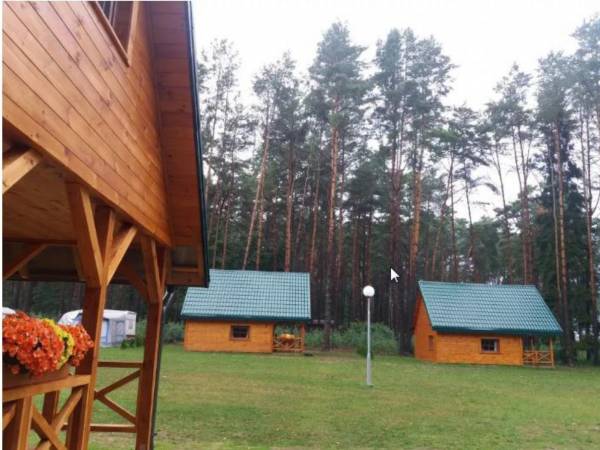 Pole Namiotowe Leśna Polana