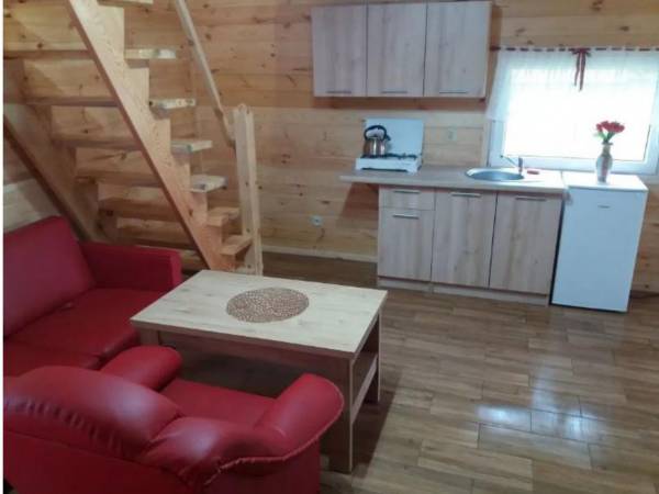 Pole Namiotowe Leśna Polana