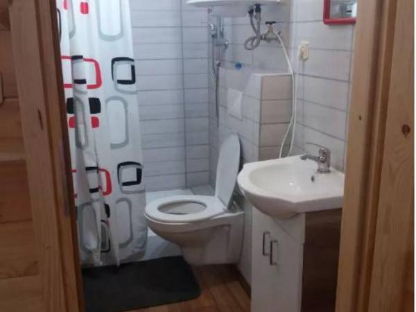 Pole Namiotowe Leśna Polana