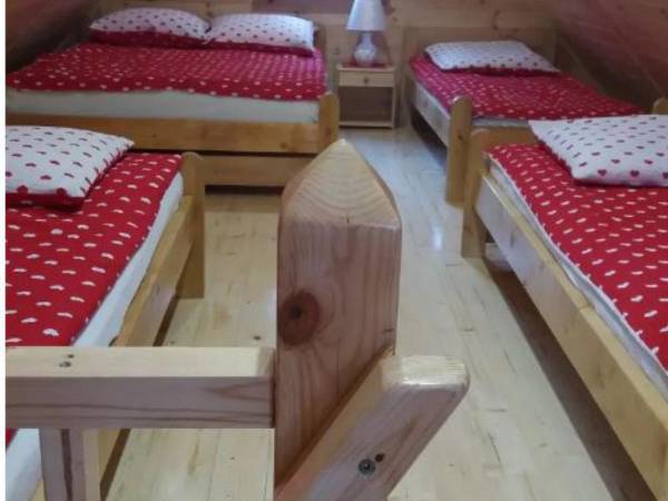 Pole Namiotowe Leśna Polana