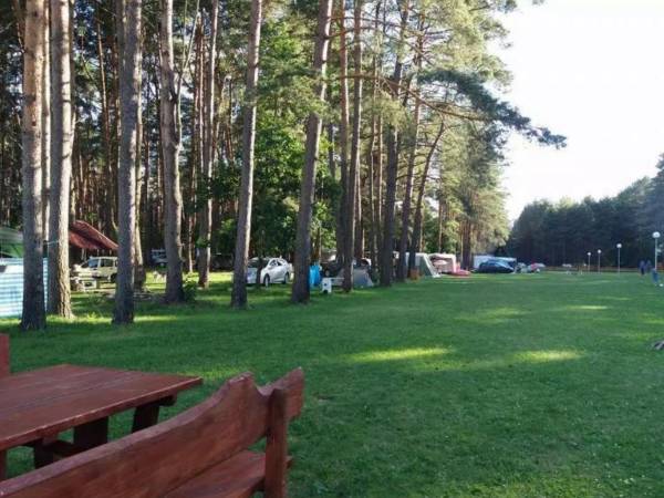 Pole Namiotowe Leśna Polana