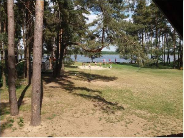 Pole Namiotowe Leśna Polana