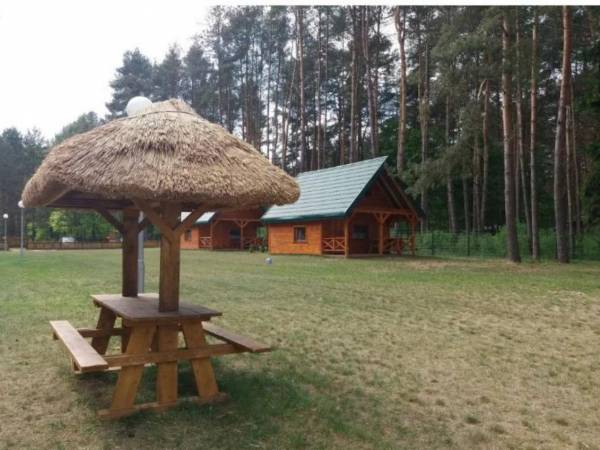 Pole Namiotowe Leśna Polana