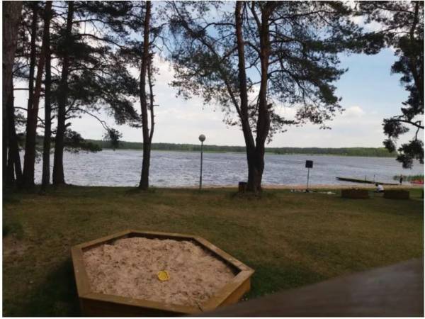 Pole Namiotowe Leśna Polana