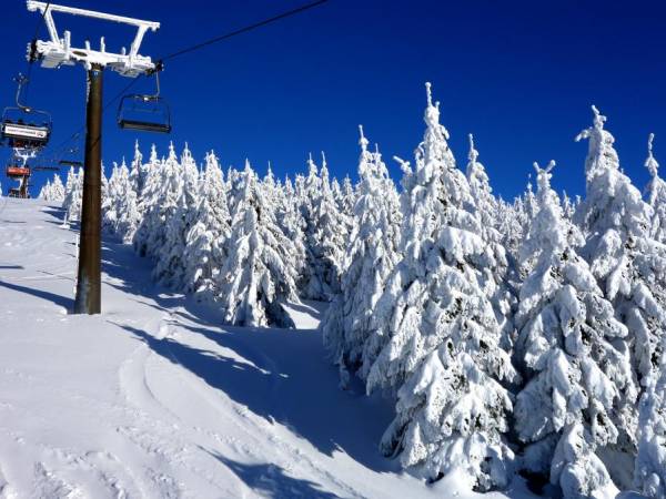 SKI Apartamenty - Karkonosze