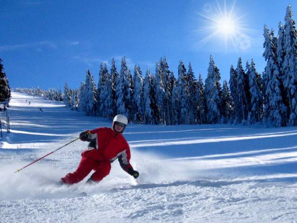 SKI Apartamenty - Karkonosze